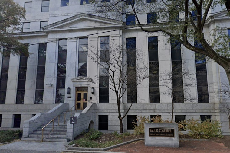 Gwinnett Ballot Twist: Same State Senate Showdown Listed Twice