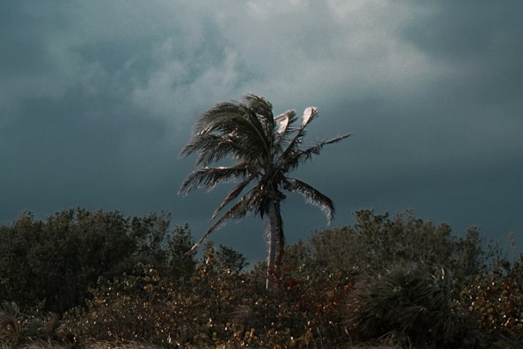 Hail No LaBelle Braces for 55 MPH Blast in Pop Up Storm Surge