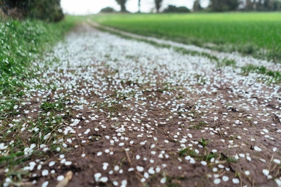 Half-Dollar Hail Hammers Columbus County As 60 MPH Gusts Tear Through