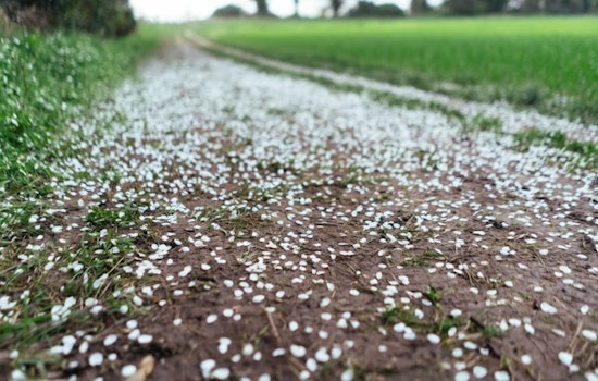 Half-Dollar Hail Hammers Columbus County As 60 MPH Gusts Tear Through