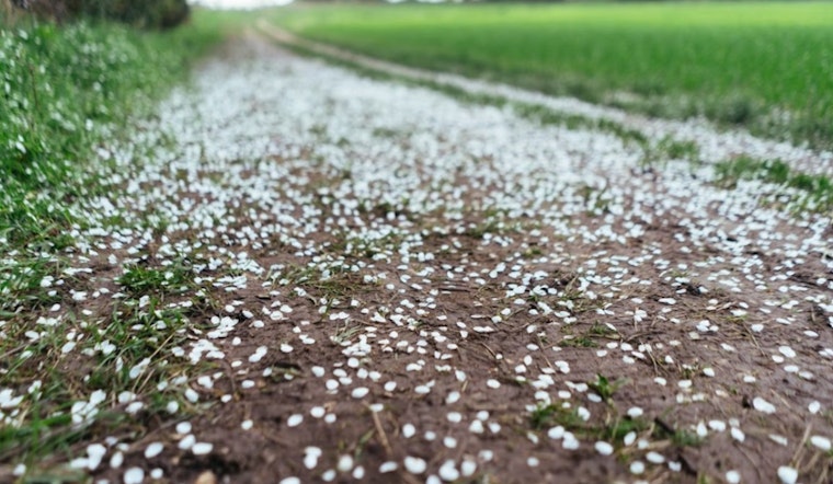 Half-Dollar Hail Hammers Columbus County As 60 MPH Gusts Tear Through