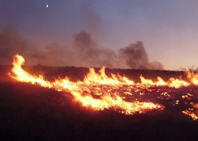 Harbor City Grass Fire Near Ken Malloy Park, LAFD Responds