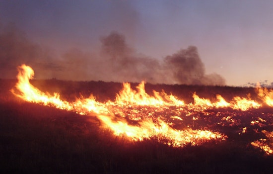 Harbor City Grass Fire Near Ken Malloy Park, LAFD Responds