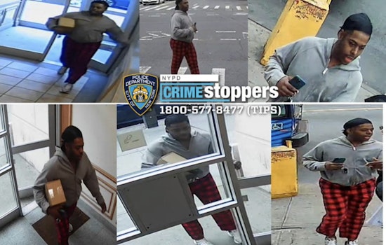 Harlem Rush-Hour Mugger Shoves Woman, Swipes Package at 116th Street Corner