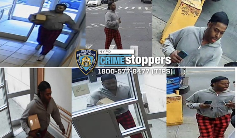 Harlem Rush-Hour Mugger Shoves Woman, Swipes Package at 116th Street Corner