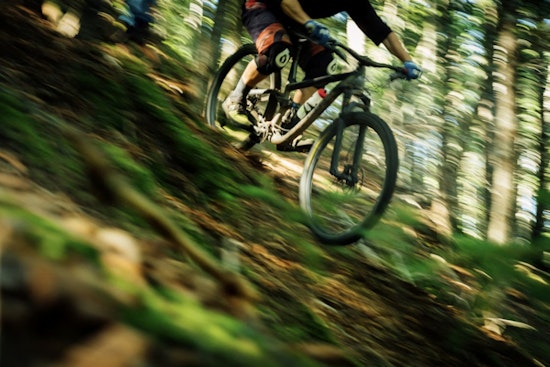 Harris County Bikers Seethe as Crews Rip Out Jumps on Beloved Cypress Trails