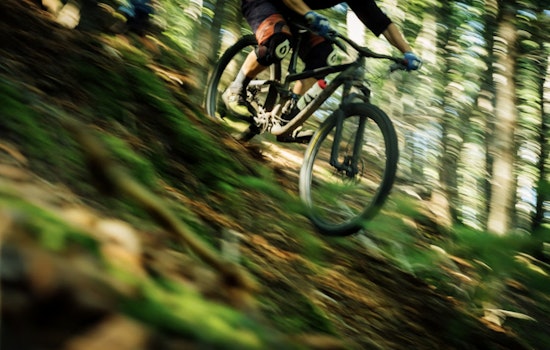 Harris County Bikers Seethe as Crews Rip Out Jumps on Beloved Cypress Trails