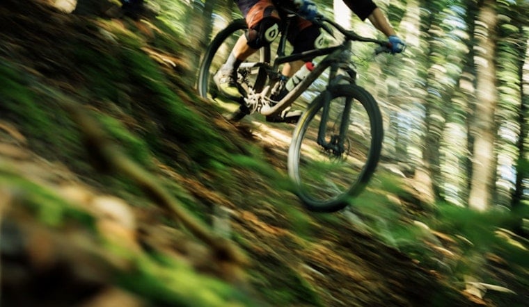Harris County Bikers Seethe as Crews Rip Out Jumps on Beloved Cypress Trails