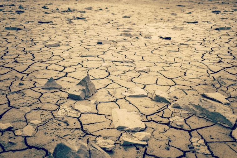 Harvard MBAs Pulled Into Great Salt Lake’s Slow-Motion Emergency