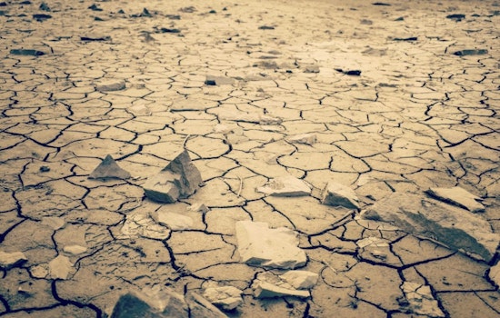 Harvard MBAs Pulled Into Great Salt Lake’s Slow-Motion Emergency