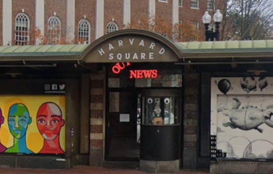 Harvard Square Holds Steady During Boston Calling Gap Year