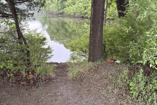 Headless Birds On Sodom Reservoir Shore Spook Putnam Lakeside