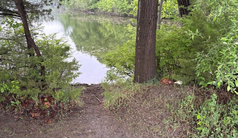 Headless Birds On Sodom Reservoir Shore Spook Putnam Lakeside