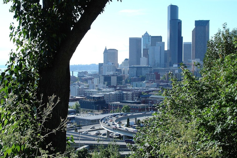 Heat-Stricken Seattle Races To Plant Lifesaving Trees
