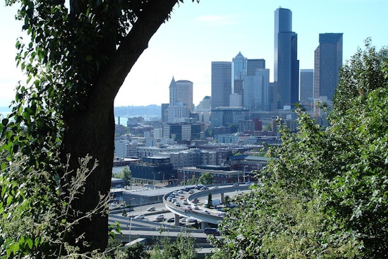 Heat-Stricken Seattle Races To Plant Lifesaving Trees