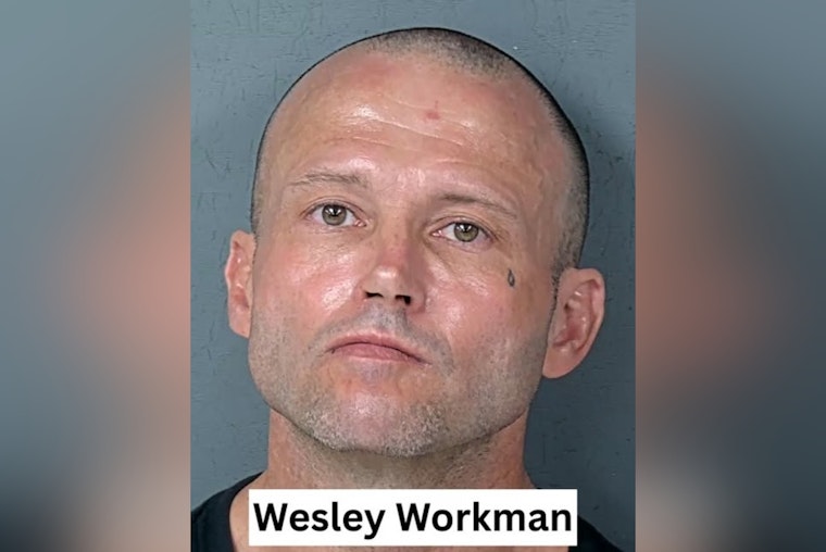 Hernando Sex Offender Busted After Skipping 30-Day Check-In, Deputies Say