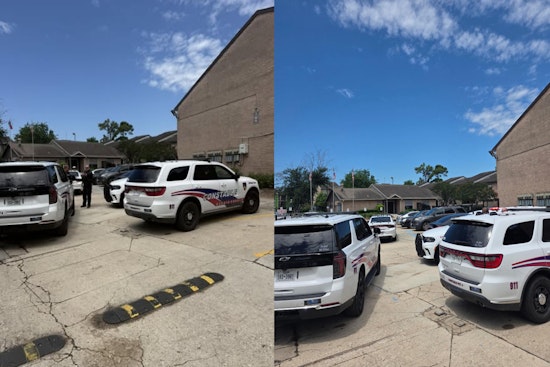 Hero Service Dog Throws Itself Between Owner And Gunfire At North Houston Apartments