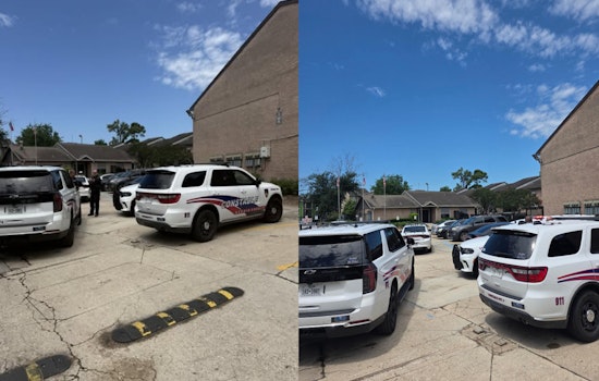 Hero Service Dog Throws Itself Between Owner And Gunfire At North Houston Apartments