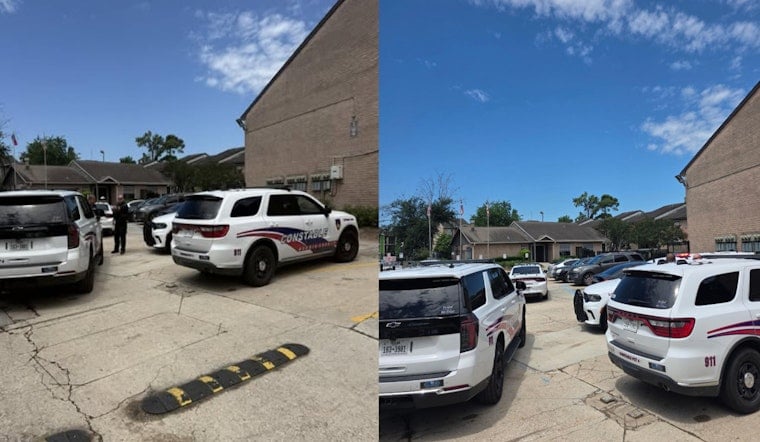 Hero Service Dog Throws Itself Between Owner And Gunfire At North Houston Apartments
