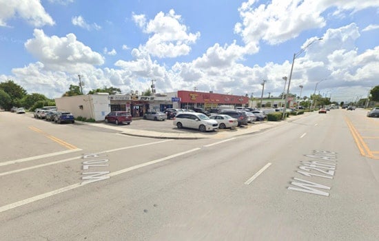 Hialeah Block Turns Chaotic After Dog Mauls Woman, Cops Swarm Scene
