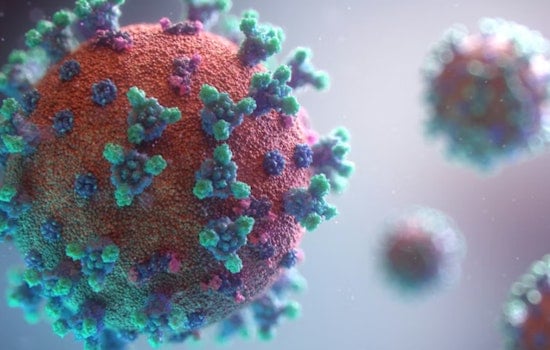 High Bacteria Levels at Pontchartrain and Gulf Beaches