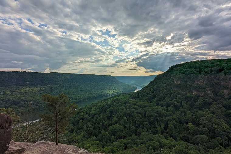 High-Tax Buyers From California And New York Buy Tennessee Homes
