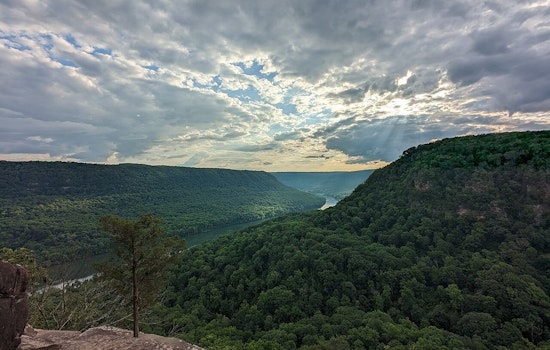 High-Tax Buyers From California And New York Buy Tennessee Homes