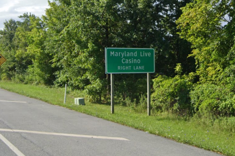 Highway Heifer Spotted Roaming MD-100 Near Arundel Mills