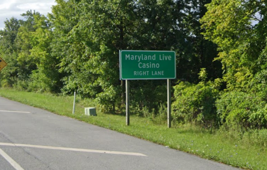 Highway Heifer Spotted Roaming MD-100 Near Arundel Mills