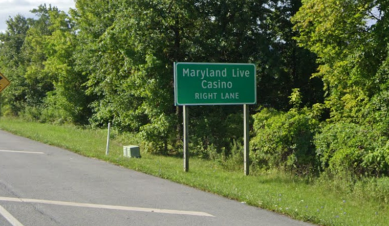 Highway Heifer Spotted Roaming MD-100 Near Arundel Mills