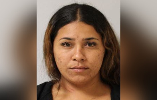 Hilo Domestic Clash over Weights Ends with $96K Bail, Cops Say