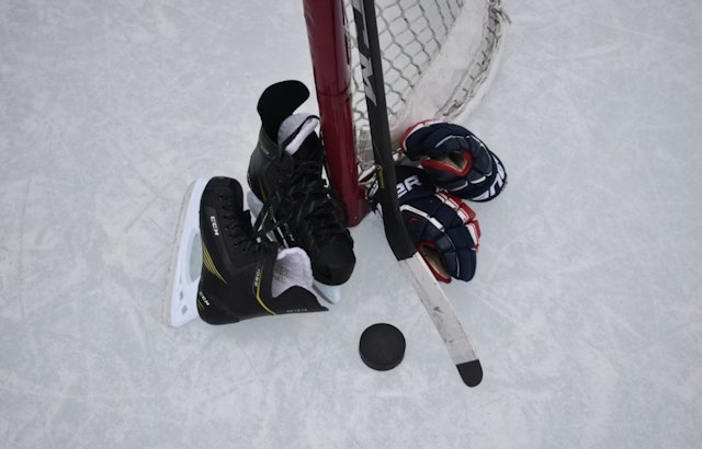 Hockey Roars Back To Stockton With New Pro Team