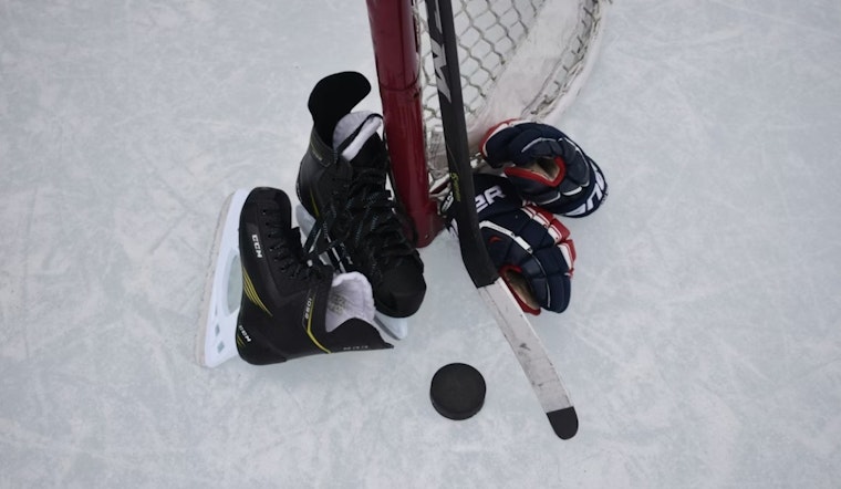 Hockey Roars Back To Stockton With New Pro Team