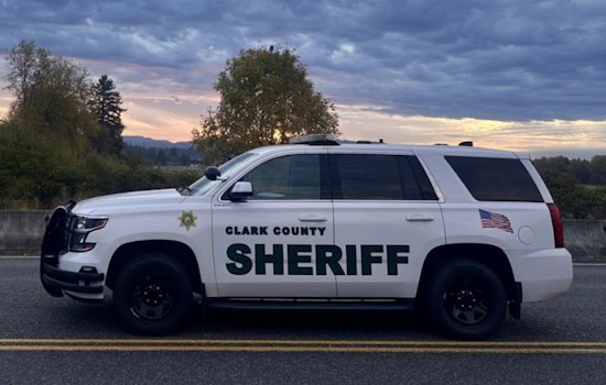 Hockinson ‘Hitman’ Cops To Slaying Of Lindy Rummell In Alleged $35K Murder Plot