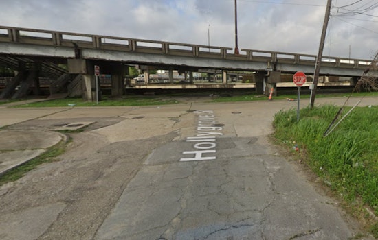Hollygrove Horror: Woman Killed in Afternoon Street Shooting