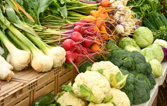 Honolulu Rolls Out First Oahu Food Plan as Grocery Bills Bite