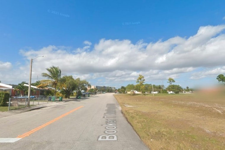 Hooded Creep Flashes Juvenile On Quiet Miami-Dade Block