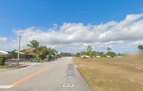 Hooded Creep Flashes Juvenile On Quiet Miami-Dade Block