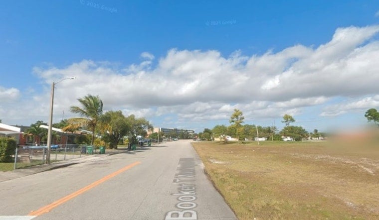 Hooded Creep Flashes Juvenile On Quiet Miami-Dade Block