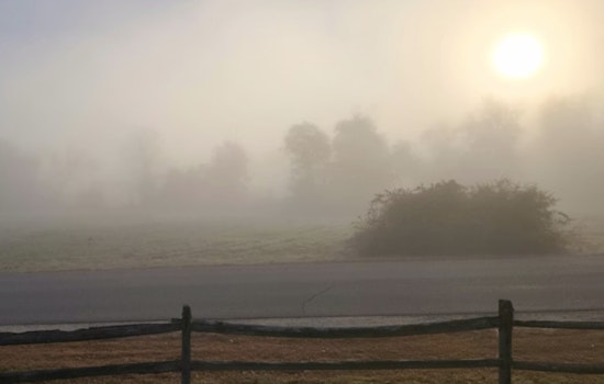 Houston Wakes Up In A Fog As Weekend Soaker Looms
