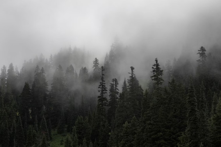 Houston Wakes Up In A Sauna As Foggy Dawn Gives Way To 90-Degree Sizzle