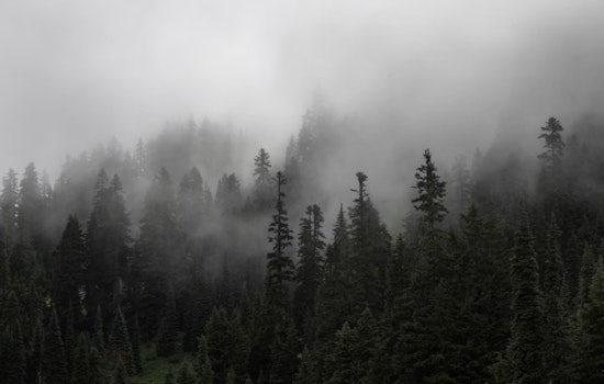 Houston Wakes Up In A Sauna As Foggy Dawn Gives Way To 90-Degree Sizzle