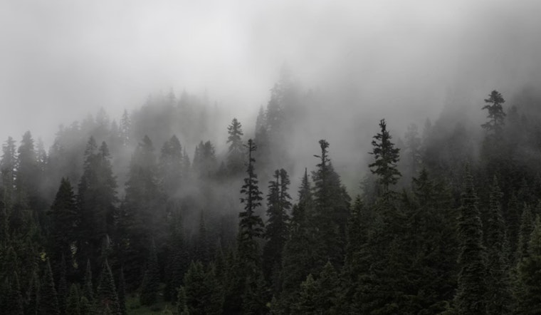 Houston Wakes Up In A Sauna As Foggy Dawn Gives Way To 90-Degree Sizzle