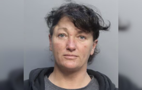 Ice Cream Line Chaos: Iowa Woman Accused Of Decking Teen On Miami Cruise