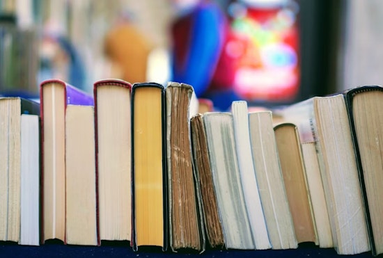 Illinois Stands Apart As Book Bans Surge Nationwide