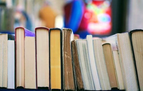 Illinois Stands Apart As Book Bans Surge Nationwide