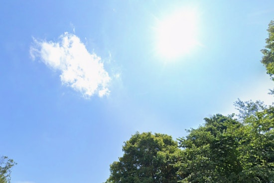 Sun-Soaked Thursday in Indy Before Storms and Heat Crash the Weekend