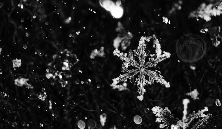 Indy Gardeners On Ice Alert As Saturday Frost Threatens Spring Blooms