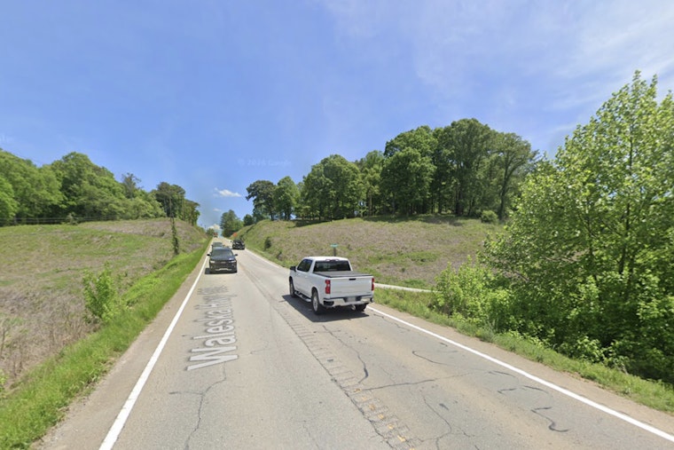 Injured Bear Put Down On Pickens Highway After Morning Crash
