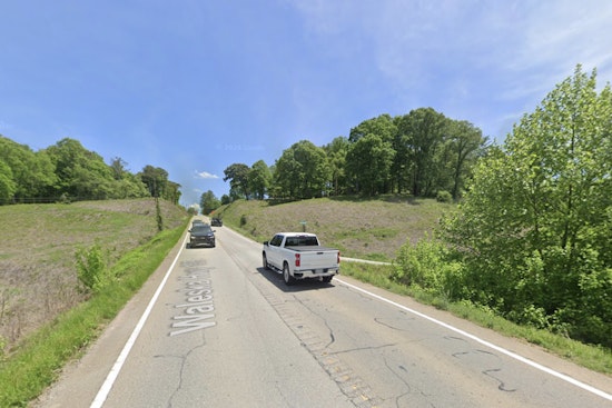 Injured Bear Put Down On Pickens Highway After Morning Crash